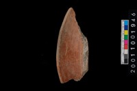 藏品(罐口緣)的圖片