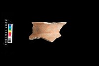 藏品(口緣)的圖片