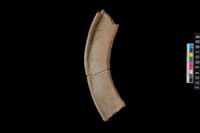 藏品(繩紋口緣)的圖片