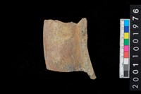 藏品(罐口緣)的圖片