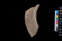 藏品(罐口緣)的圖片