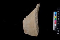 藏品(罐口緣)的圖片