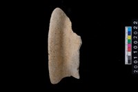 藏品(罐口緣)的圖片