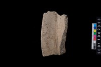 藏品(罐口緣)的圖片