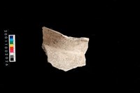 藏品(罐口緣)的圖片