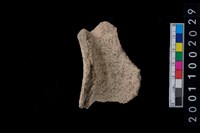 藏品(罐口緣)的圖片