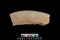 藏品(帶紋罐口)的圖片