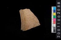 藏品(繩紋罐口)的圖片