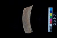 藏品(缽口緣)的圖片