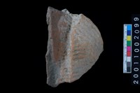 藏品(繩紋缽口)的圖片