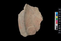 藏品(缽口緣)的圖片