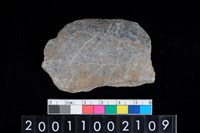 藏品(石缽)的圖片