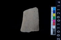 藏品(缽口緣)的圖片