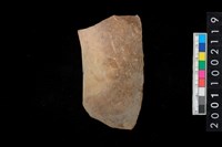 藏品(缽口緣)的圖片