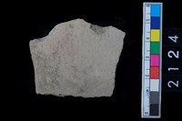 藏品(缽口緣)的圖片