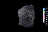 藏品(缽口緣)的圖片