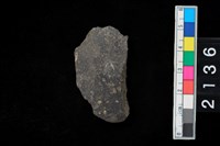 藏品(腹片)的圖片