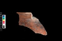 藏品(罐口緣)的圖片