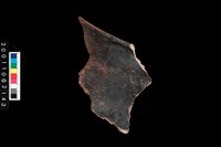 藏品(罐口緣)的圖片