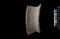 藏品(罐口緣)的圖片