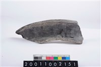 藏品(罐口緣)的圖片