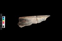 藏品(罐口緣)的圖片