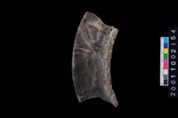 藏品(罐口緣)的圖片