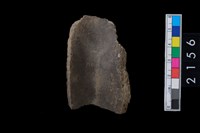 藏品(罐口緣)的圖片