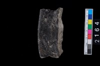 藏品(罐口緣)的圖片