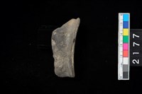 藏品(罐口緣)的圖片