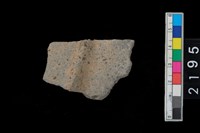 藏品(頸折)的圖片