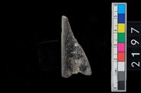 藏品(罐口緣)的圖片