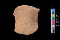 藏品(頸折)的圖片