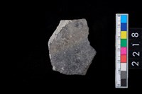 藏品(腹片)的圖片