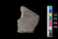 藏品(頸折)的圖片