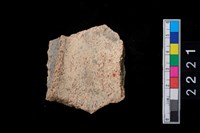 藏品(頸折)的圖片