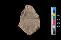 藏品(頸折)的圖片