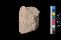 藏品(繩紋罐口)的圖片