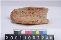 藏品(繩紋罐口)的圖片