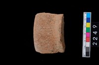 藏品(繩紋罐口)的圖片