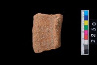 藏品(繩紋罐口)的圖片