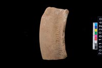 藏品(繩紋罐口)的圖片