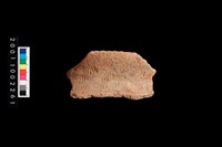 藏品(繩紋罐口)的圖片