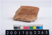 藏品(繩紋罐口)的圖片