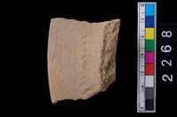 藏品(繩紋罐口)的圖片