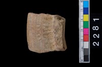 藏品(繩紋罐口)的圖片