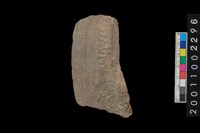 藏品(繩紋罐口)的圖片