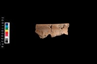 藏品(繩紋罐口)的圖片