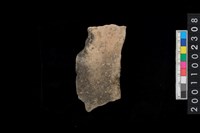 藏品( 口緣殘件)的圖片