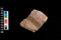 藏品(繩紋罐口)的圖片